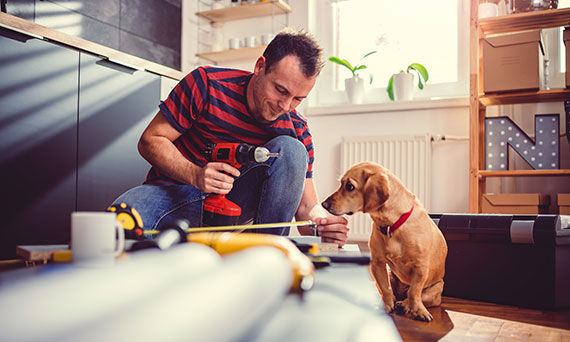 Man and his dog working on a house project