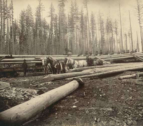 1900s logging camp