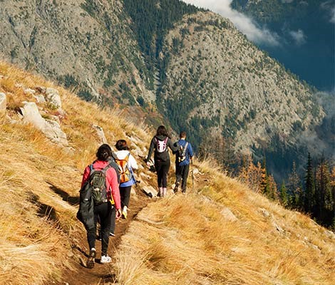 Hikers on a hillside