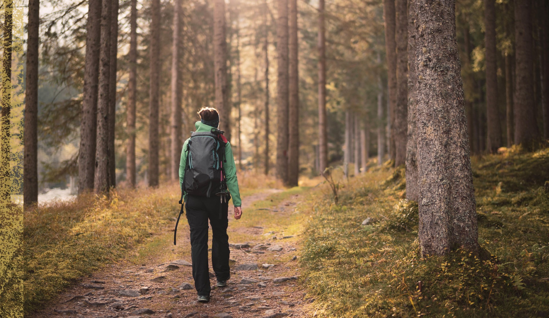 woman hiking in the woods