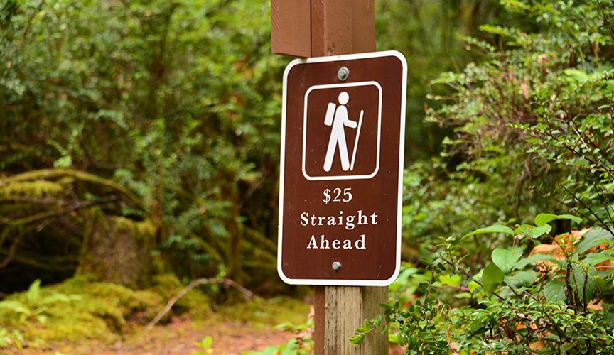 A trail sign with "$25 Straight Ahead" written on it with an image of a hiker. 