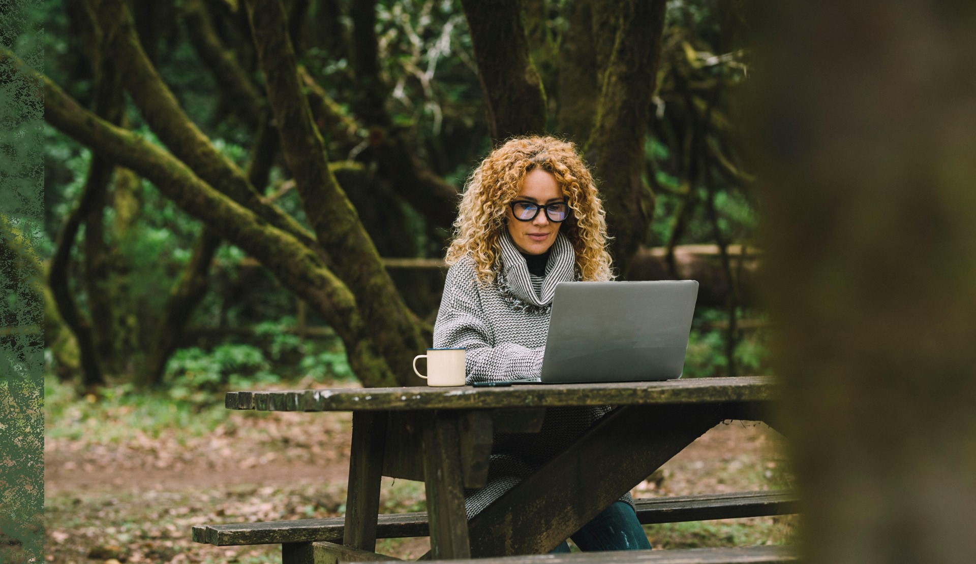 Woman on the computer in the woods