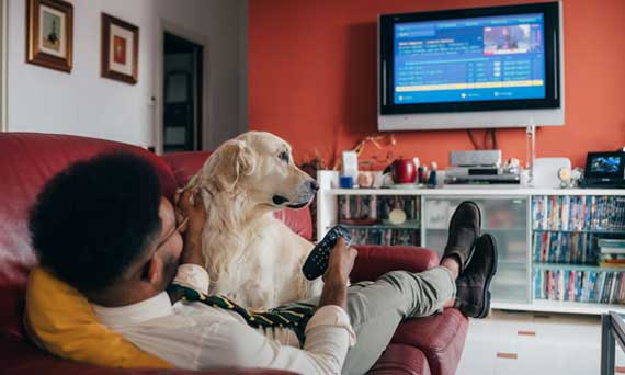 man and dog watch tv together at home