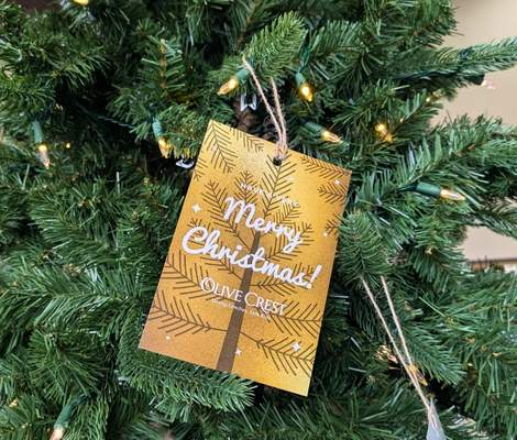 Olive Crest Giving Tree
