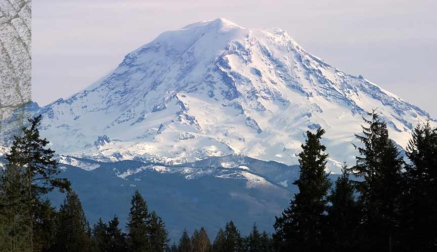 Mountain with snow and evergreen trees