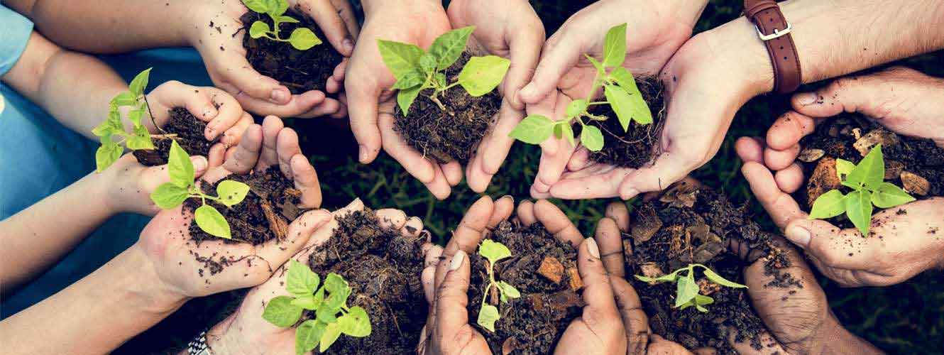 hands planting