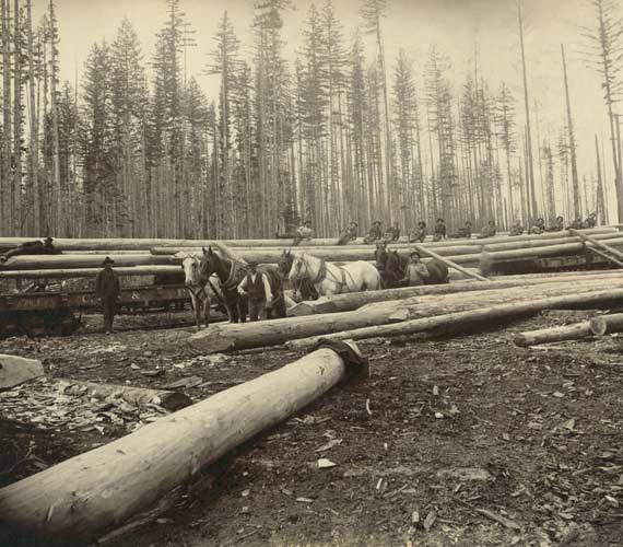 historic photo of a logging camp in Washington State